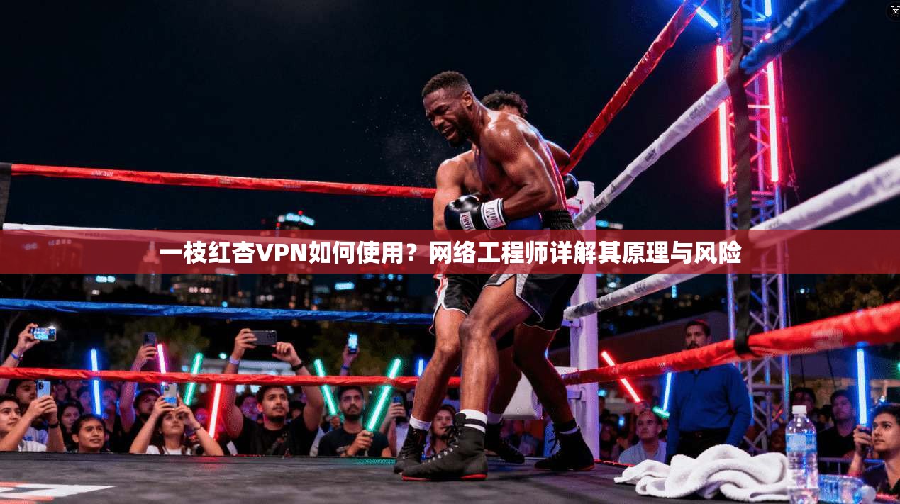 一枝红杏VPN如何使用？网络工程师详解其原理与风险