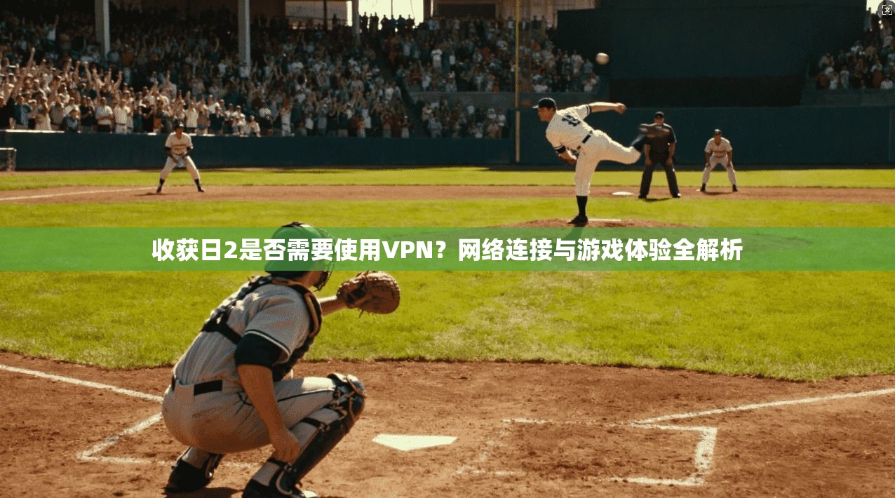 收获日2是否需要使用VPN？网络连接与游戏体验全解析