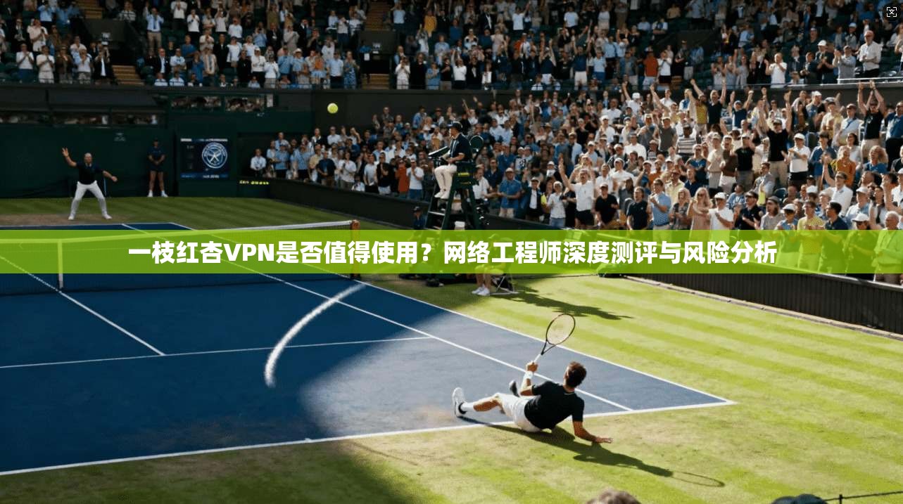 一枝红杏VPN是否值得使用？网络工程师深度测评与风险分析