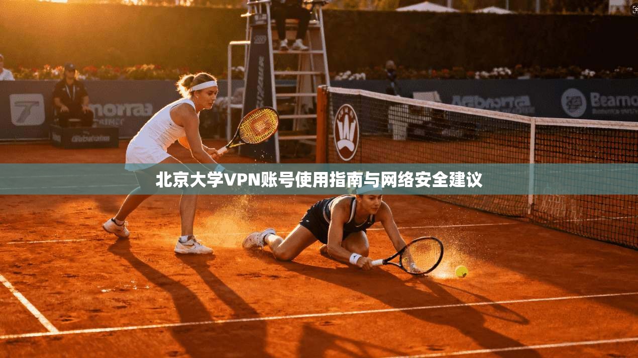 北京大学VPN账号使用指南与网络安全建议