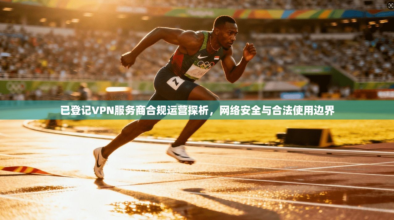 已登记VPN服务商合规运营探析，网络安全与合法使用边界