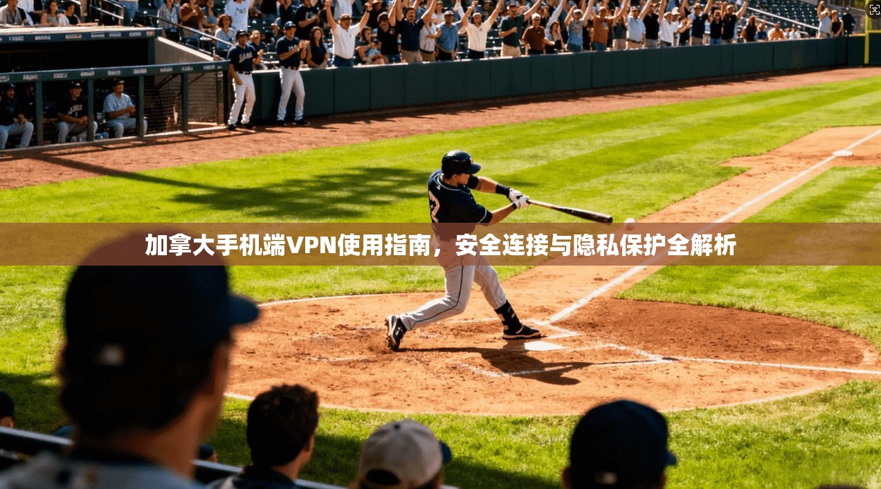加拿大手机端VPN使用指南，安全连接与隐私保护全解析