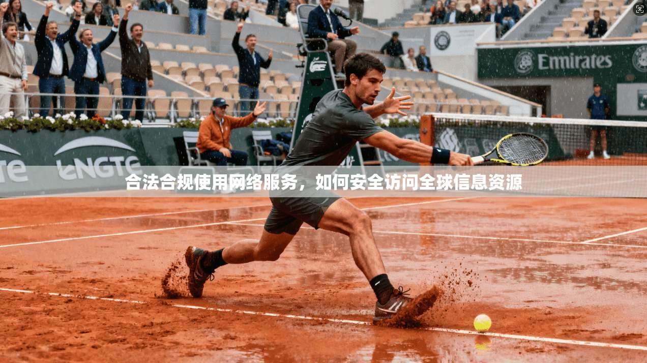 合法合规使用网络服务，如何安全访问全球信息资源