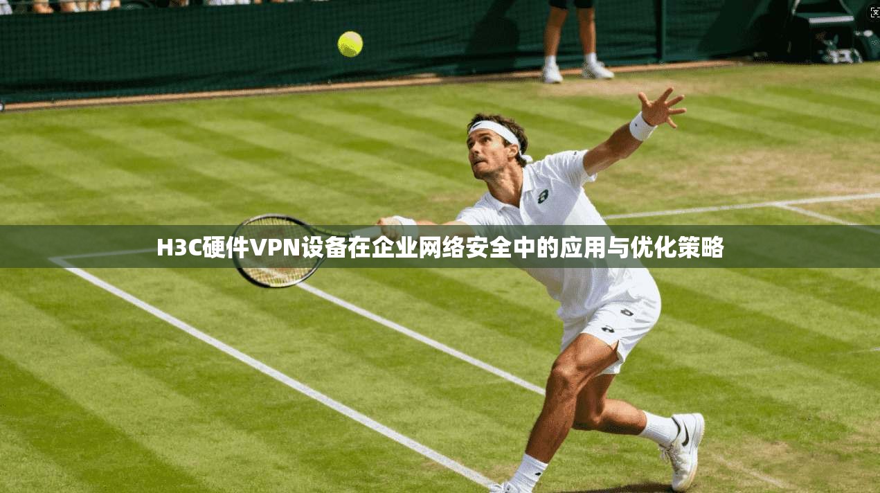 H3C硬件VPN设备在企业网络安全中的应用与优化策略