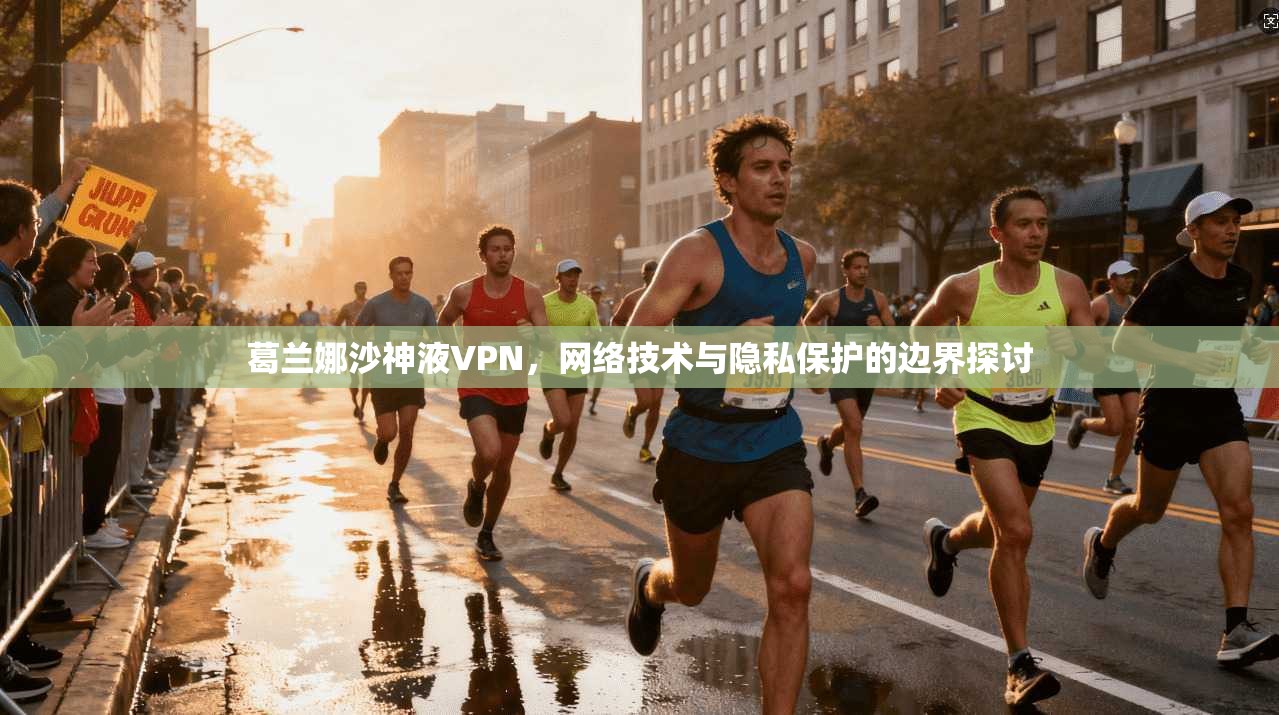 葛兰娜沙神液VPN，网络技术与隐私保护的边界探讨