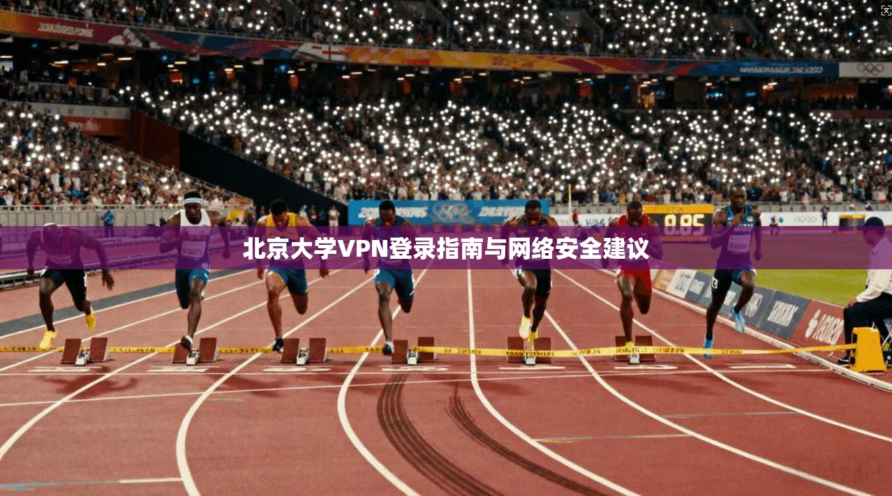 北京大学VPN登录指南与网络安全建议