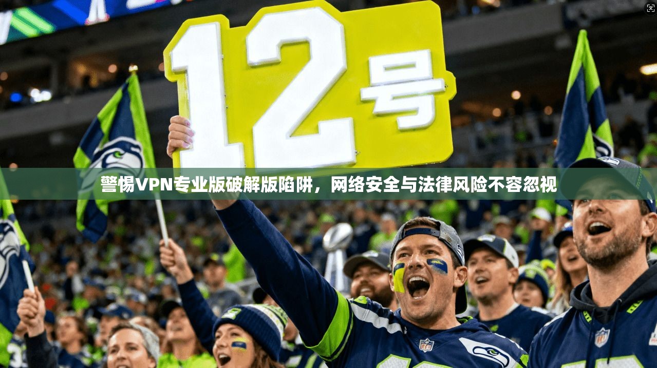 警惕VPN专业版破解版陷阱，网络安全与法律风险不容忽视