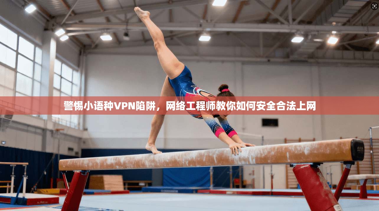 警惕小语种VPN陷阱，网络工程师教你如何安全合法上网