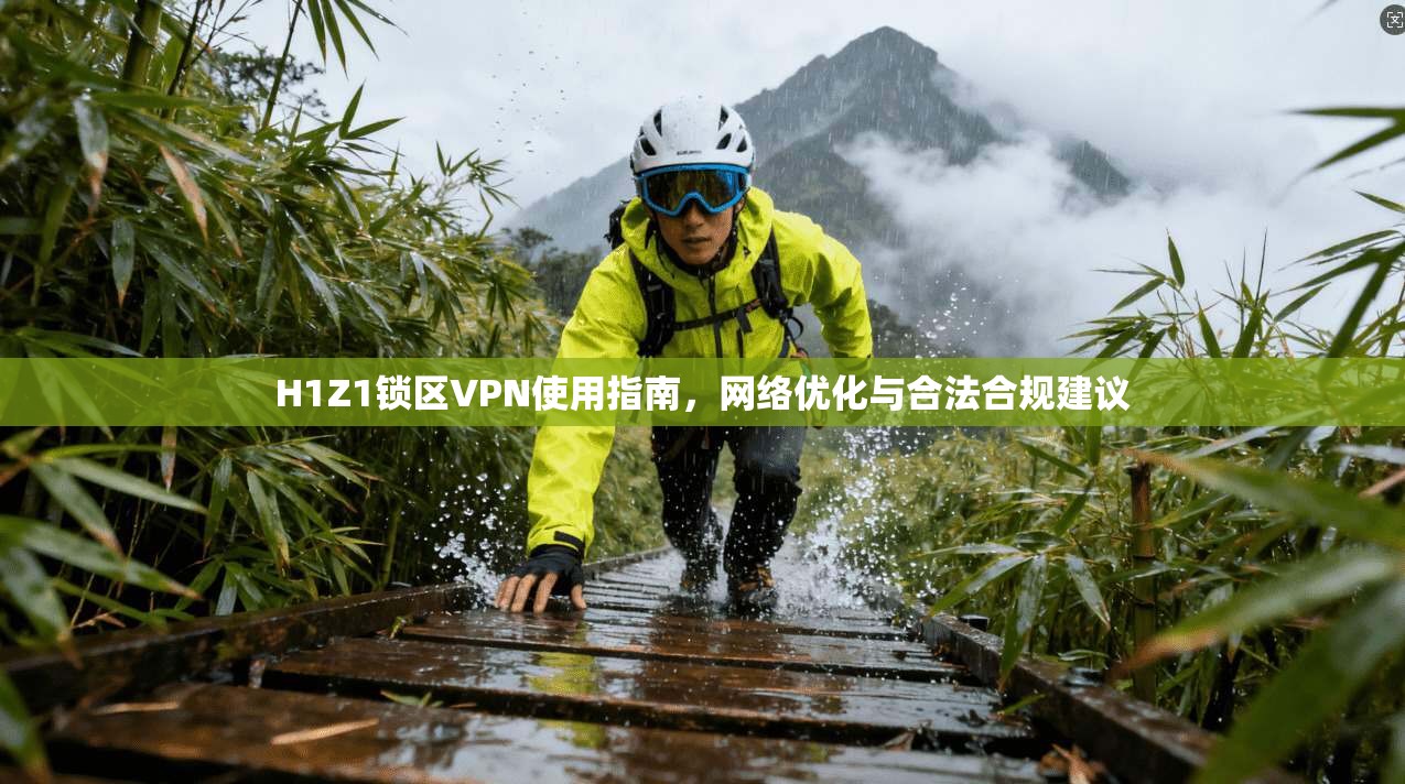 H1Z1锁区VPN使用指南，网络优化与合法合规建议