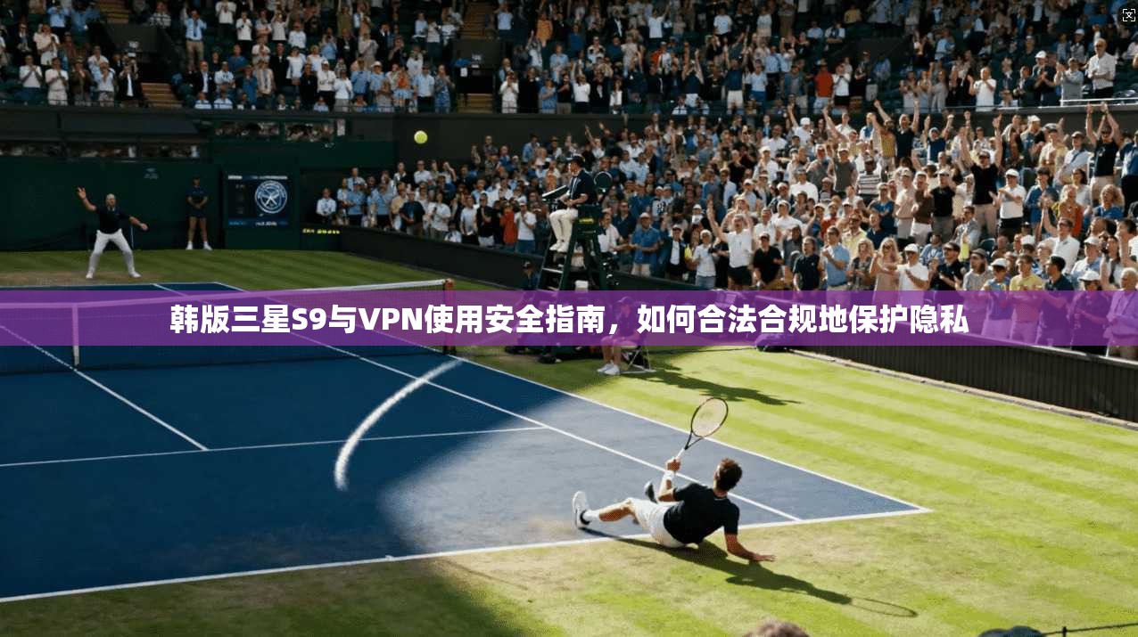 韩版三星S9与VPN使用安全指南，如何合法合规地保护隐私