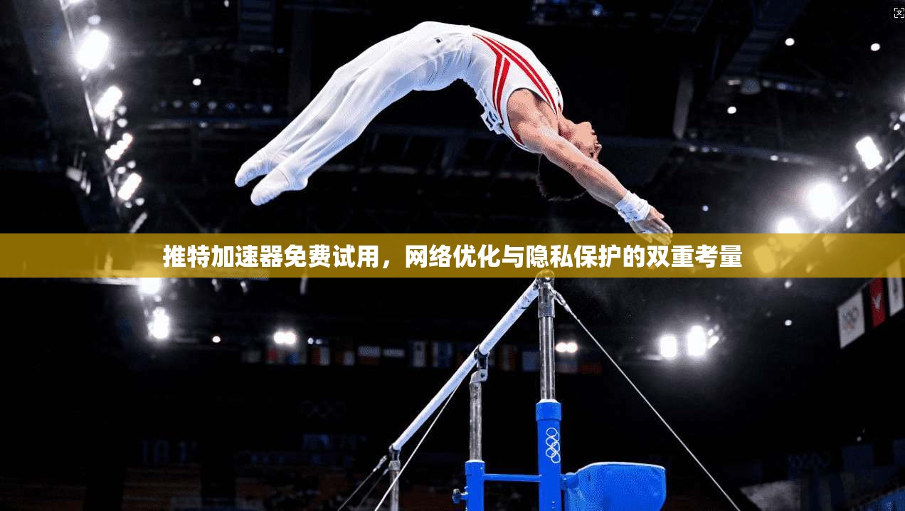 推特加速器免费试用，网络优化与隐私保护的双重考量