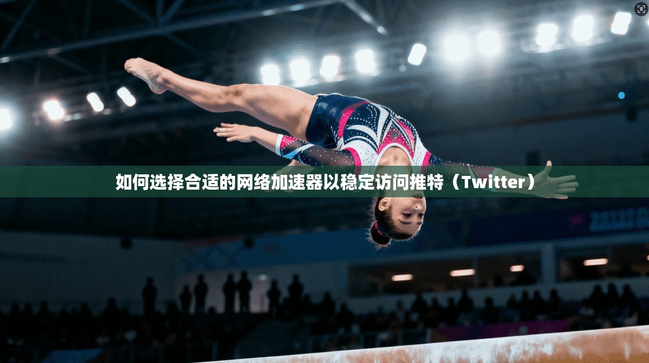 如何选择合适的网络加速器以稳定访问推特（Twitter）