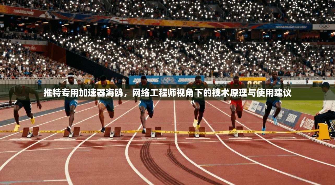 推特专用加速器海鸥，网络工程师视角下的技术原理与使用建议
