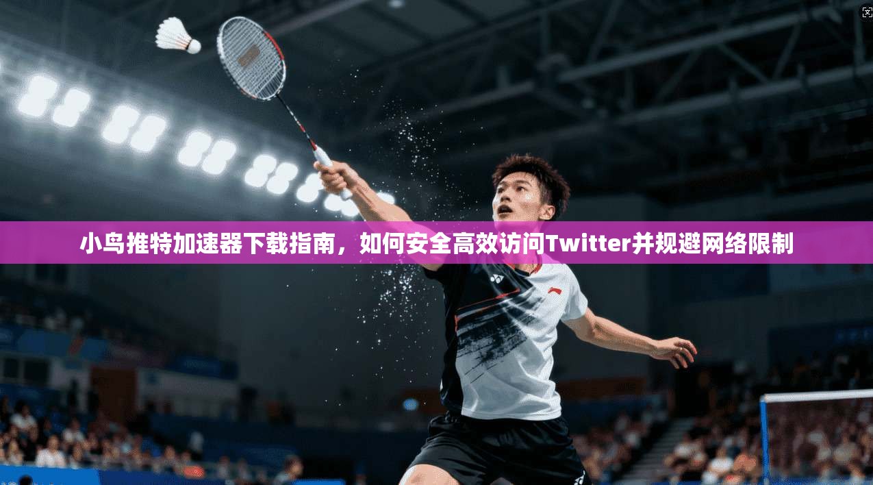 小鸟推特加速器下载指南，如何安全高效访问Twitter并规避网络限制