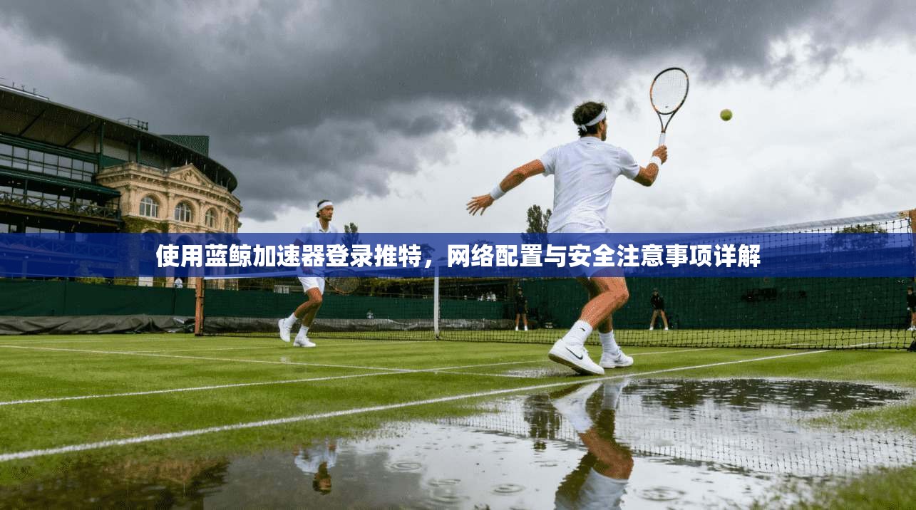 使用蓝鲸加速器登录推特，网络配置与安全注意事项详解
