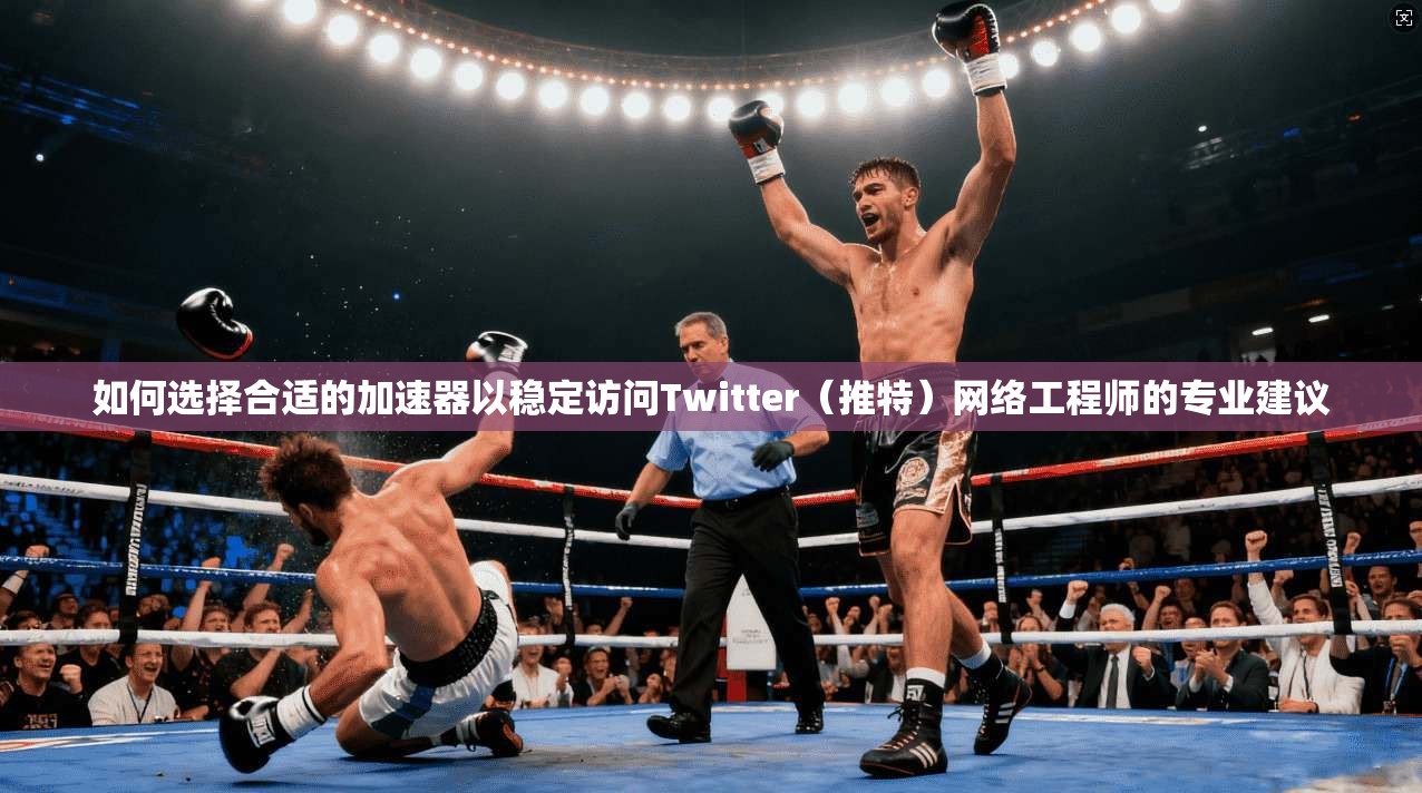 如何选择合适的加速器以稳定访问Twitter（推特）网络工程师的专业建议