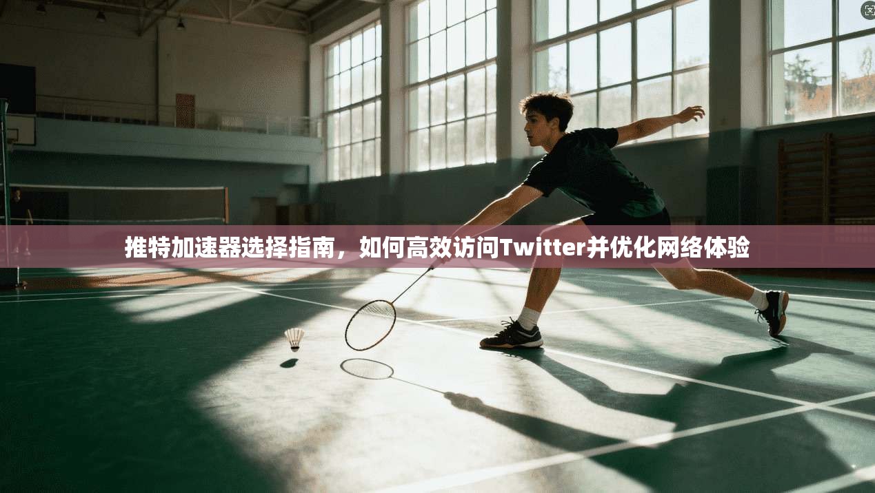 推特加速器选择指南，如何高效访问Twitter并优化网络体验