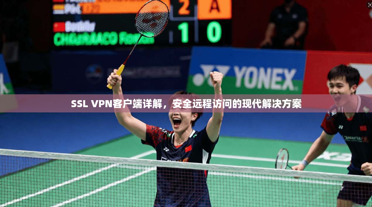 SSL VPN客户端详解，安全远程访问的现代解决方案