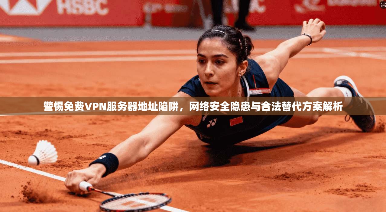 警惕免费VPN服务器地址陷阱，网络安全隐患与合法替代方案解析