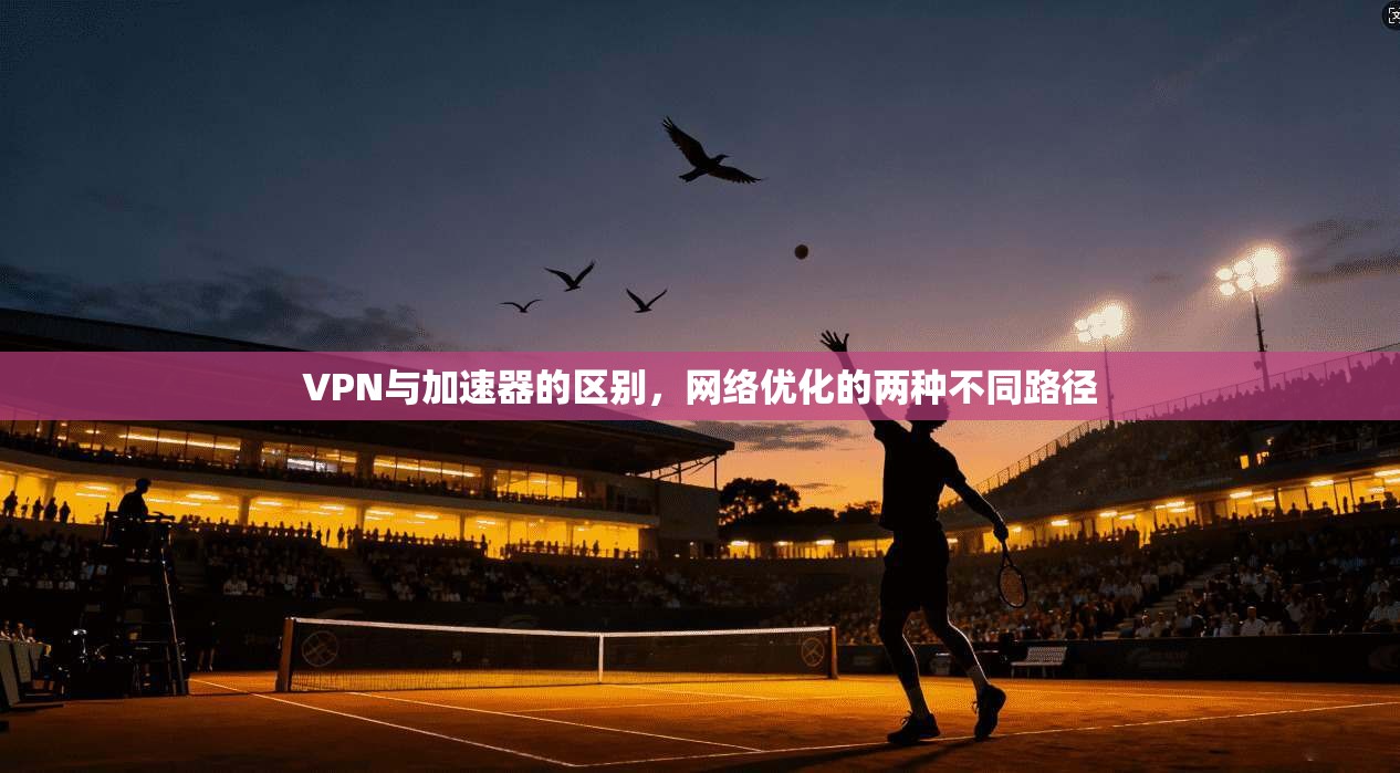 VPN与加速器的区别，网络优化的两种不同路径