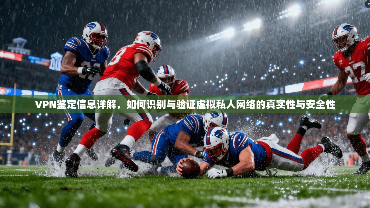 VPN鉴定信息详解，如何识别与验证虚拟私人网络的真实性与安全性