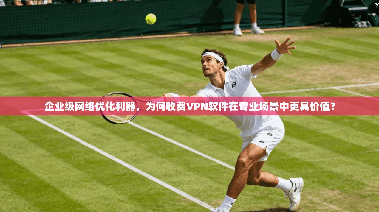 企业级网络优化利器，为何收费VPN软件在专业场景中更具价值？