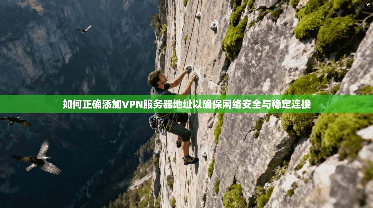 如何正确添加VPN服务器地址以确保网络安全与稳定连接