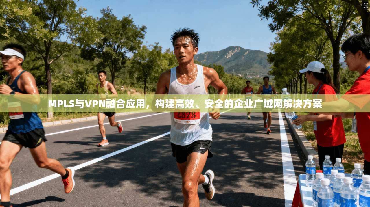 MPLS与VPN融合应用，构建高效、安全的企业广域网解决方案