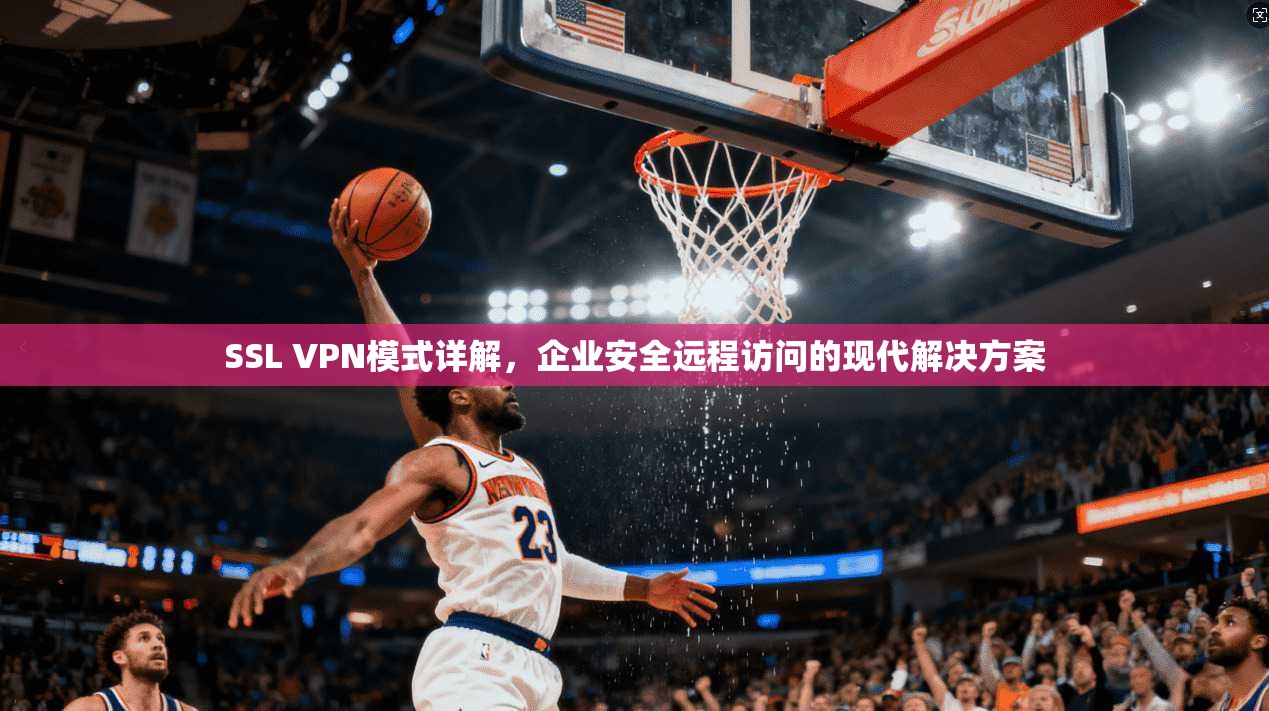 SSL VPN模式详解，企业安全远程访问的现代解决方案