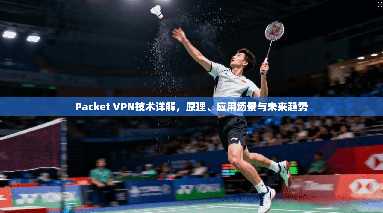 Packet VPN技术详解，原理、应用场景与未来趋势