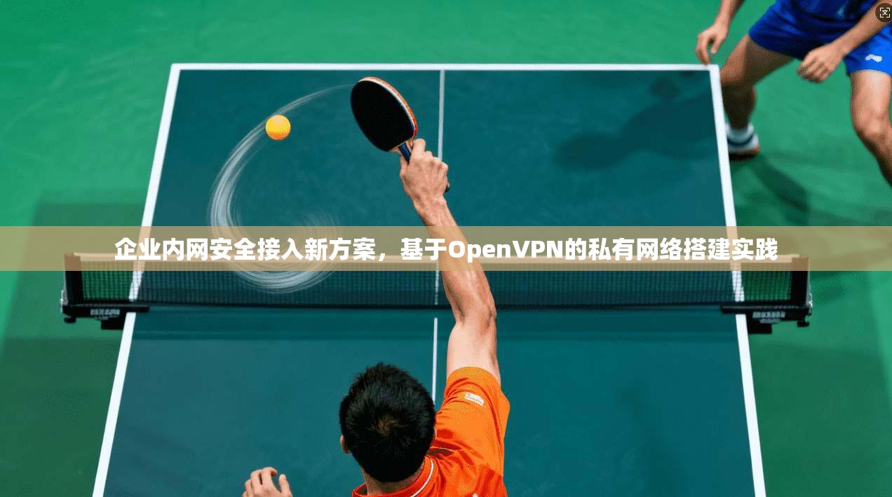 企业内网安全接入新方案，基于OpenVPN的私有网络搭建实践