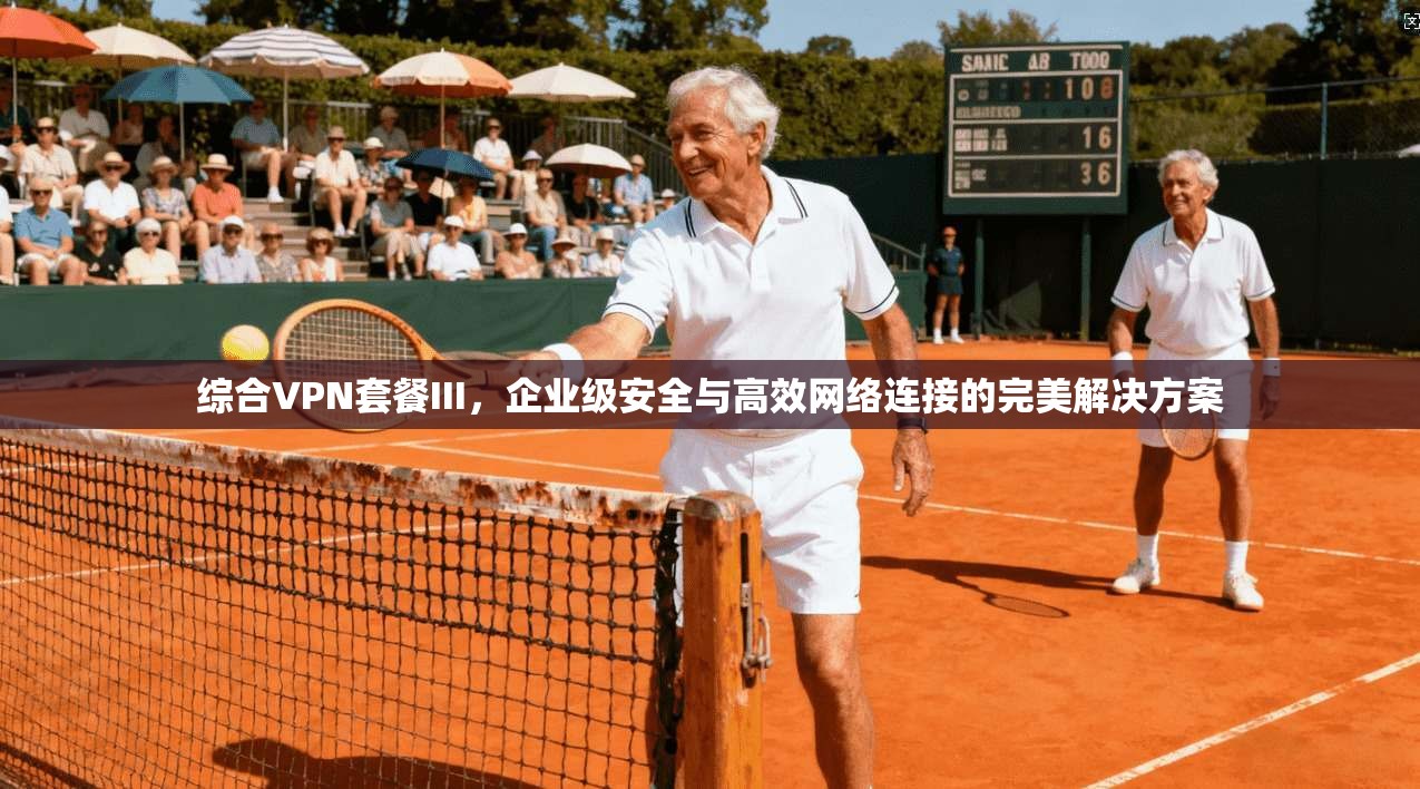 综合VPN套餐III，企业级安全与高效网络连接的完美解决方案