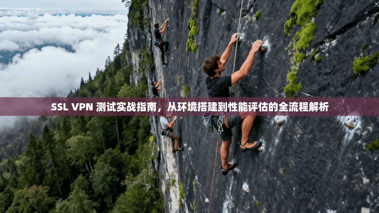 SSL VPN 测试实战指南，从环境搭建到性能评估的全流程解析