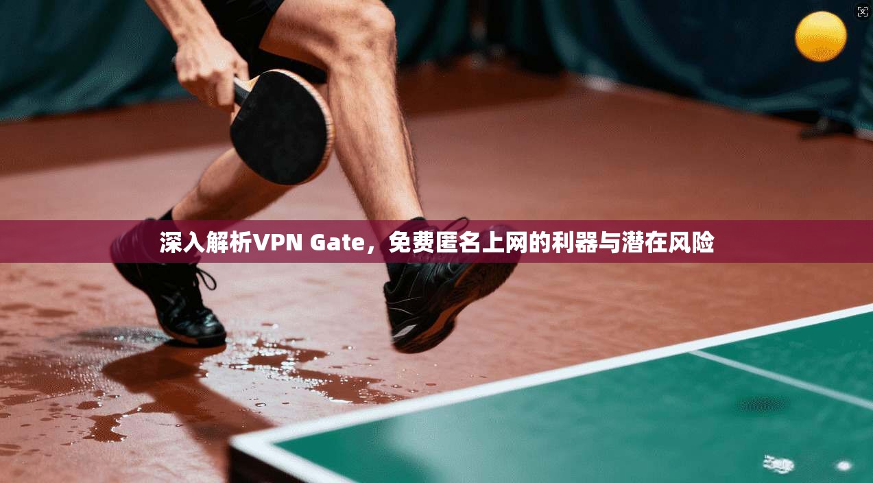 深入解析VPN Gate，免费匿名上网的利器与潜在风险