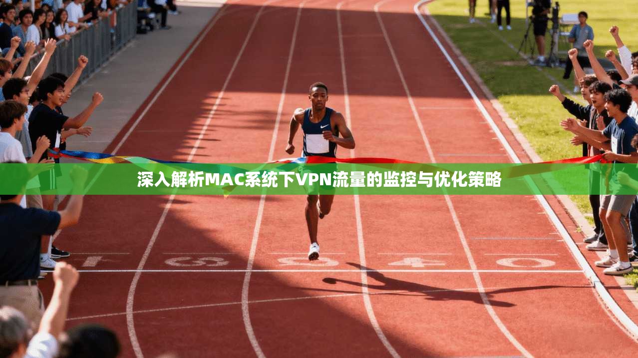 深入解析MAC系统下VPN流量的监控与优化策略