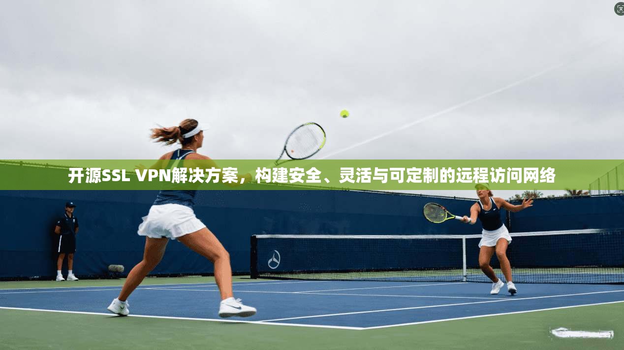 开源SSL VPN解决方案，构建安全、灵活与可定制的远程访问网络
