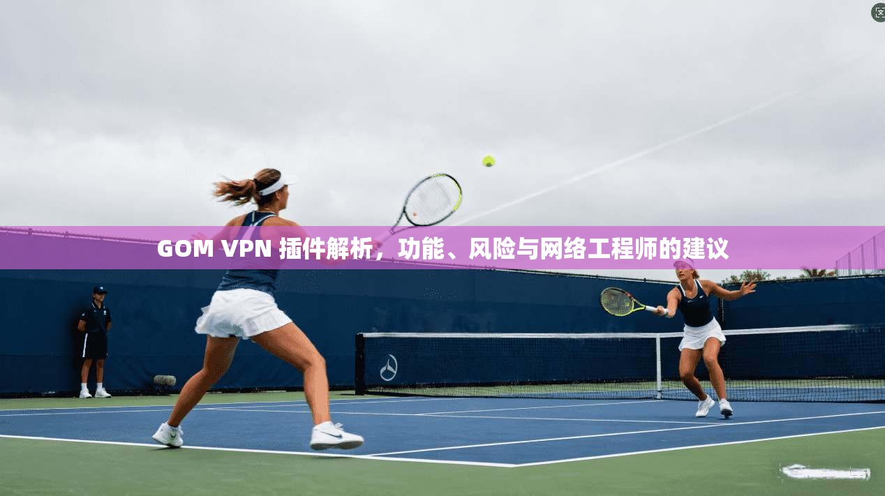 GOM VPN 插件解析，功能、风险与网络工程师的建议