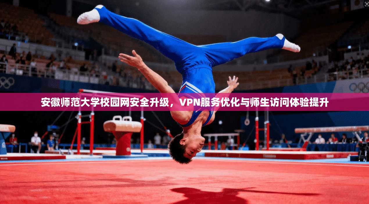 安徽师范大学校园网安全升级，VPN服务优化与师生访问体验提升