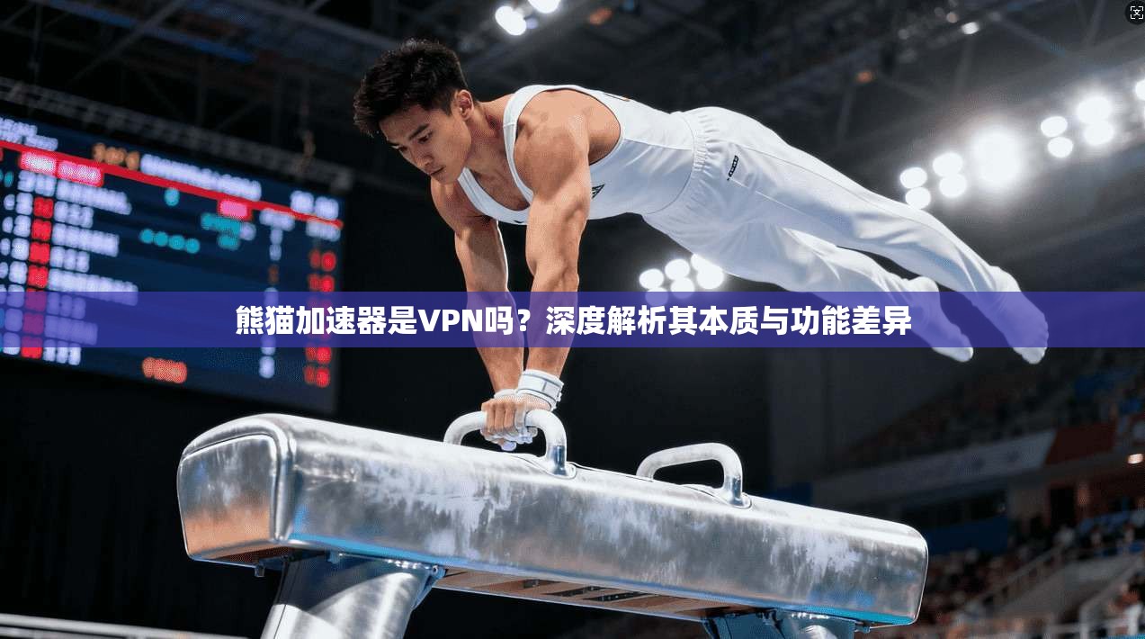熊猫加速器是VPN吗？深度解析其本质与功能差异  第1张