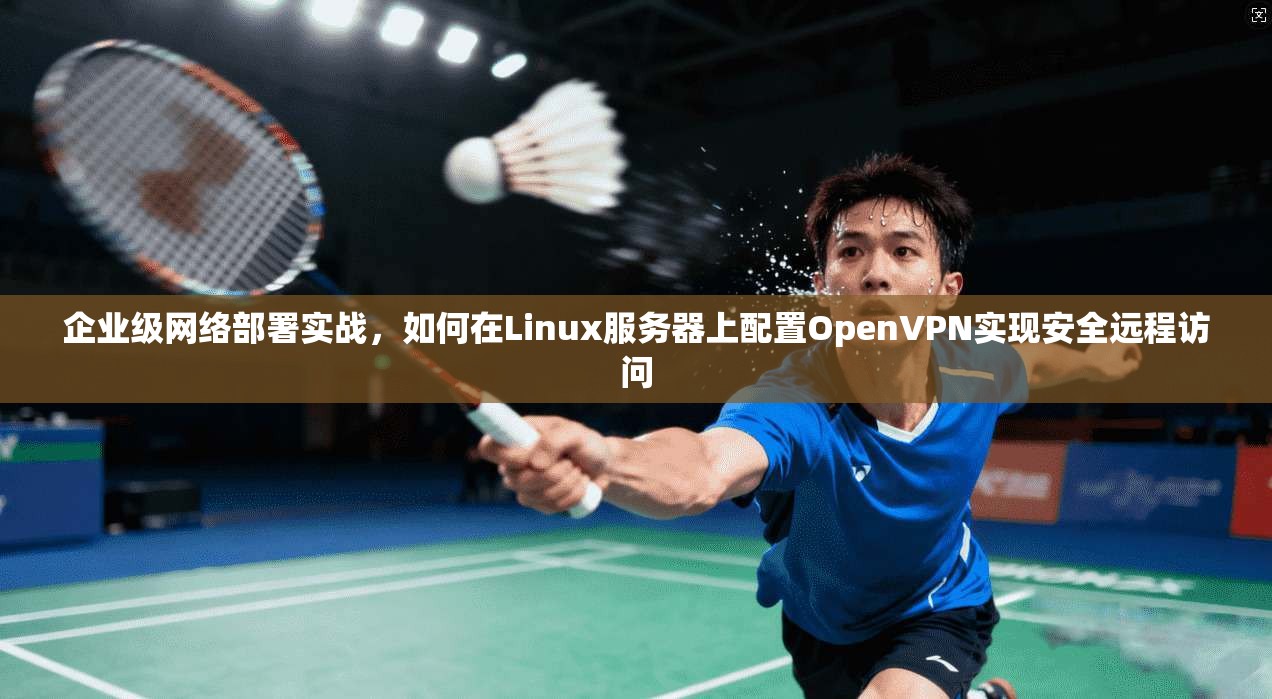 企业级网络部署实战，如何在Linux服务器上配置OpenVPN实现安全远程访问