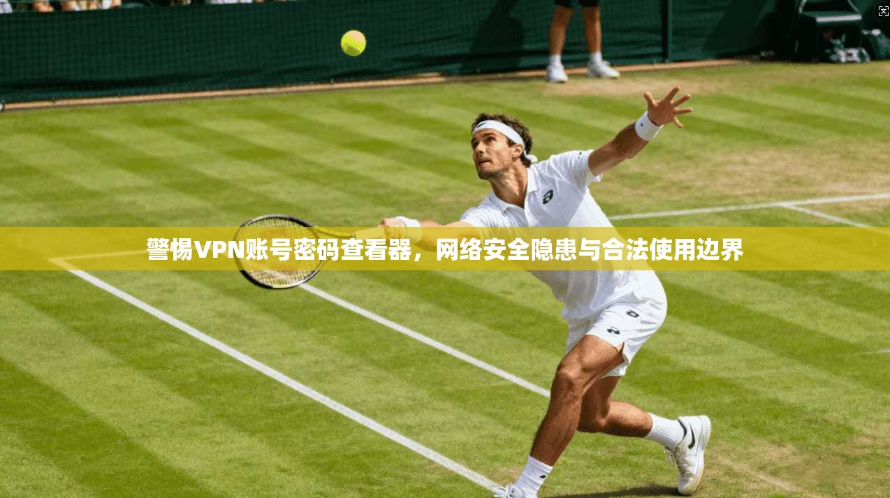 警惕VPN账号密码查看器，网络安全隐患与合法使用边界