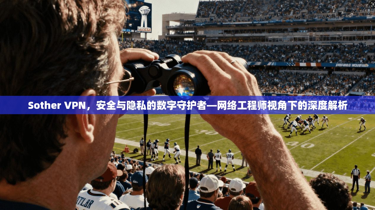 Sother VPN，安全与隐私的数字守护者—网络工程师视角下的深度解析
