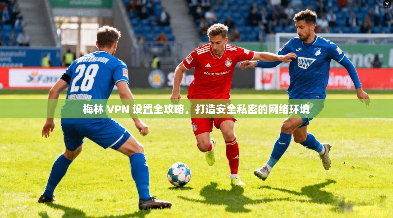 梅林 VPN 设置全攻略，打造安全私密的网络环境