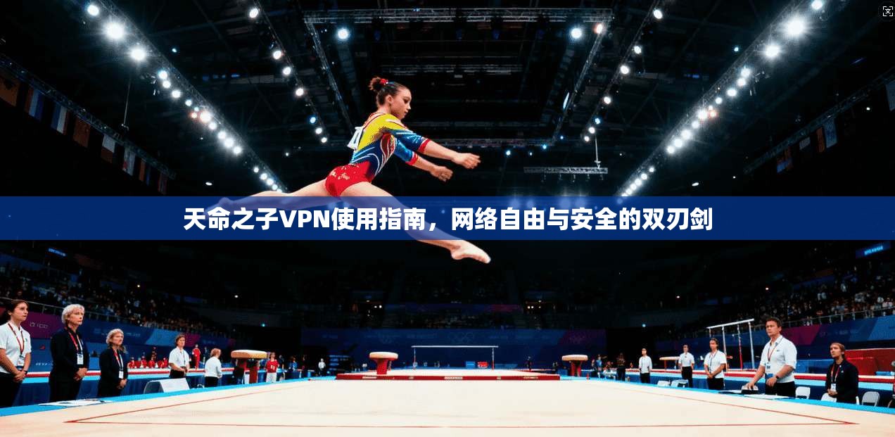 天命之子VPN使用指南，网络自由与安全的双刃剑