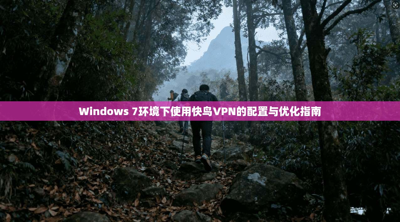 Windows 7环境下使用快鸟VPN的配置与优化指南