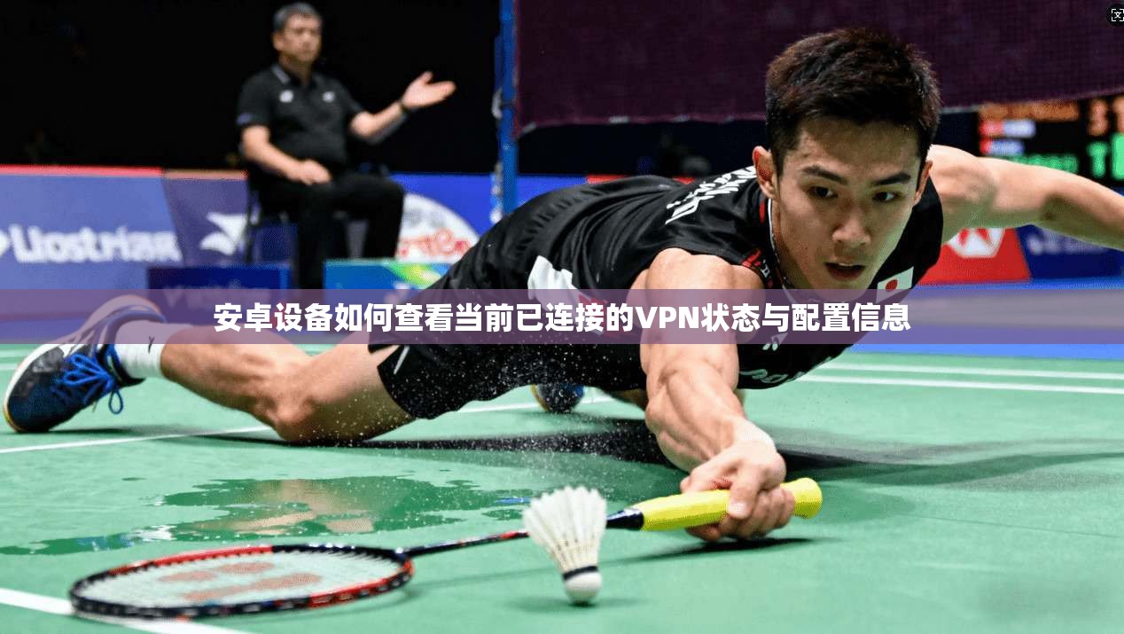安卓设备如何查看当前已连接的VPN状态与配置信息