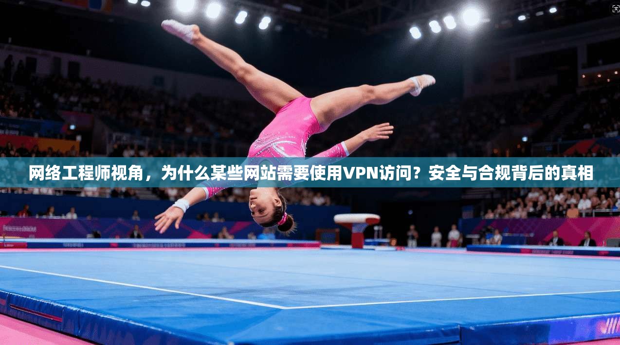 网络工程师视角，为什么某些网站需要使用VPN访问？安全与合规背后的真相