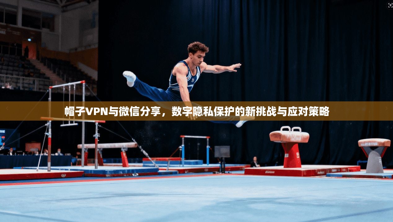 帽子VPN与微信分享，数字隐私保护的新挑战与应对策略