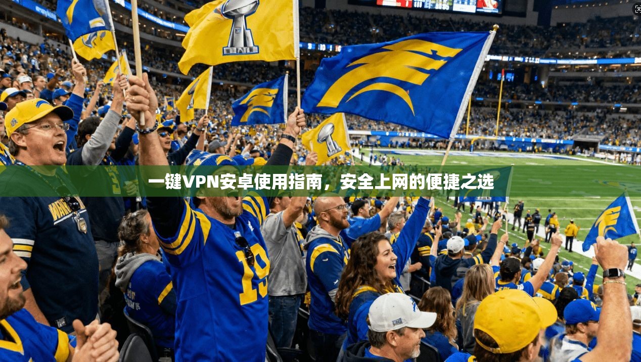 一键VPN安卓使用指南，安全上网的便捷之选