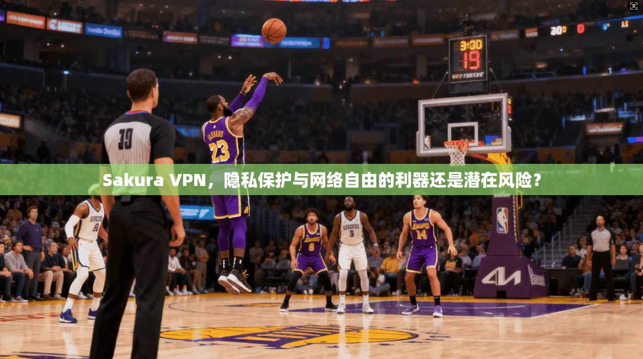 Sakura VPN，隐私保护与网络自由的利器还是潜在风险？